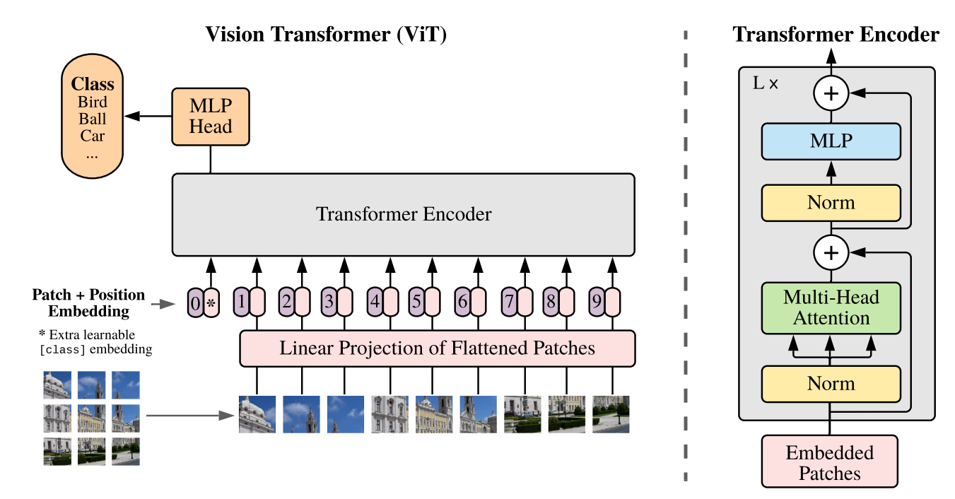 Patchify In Machine Learning Vision Transformer (ViT)原理源码解读 - 知乎