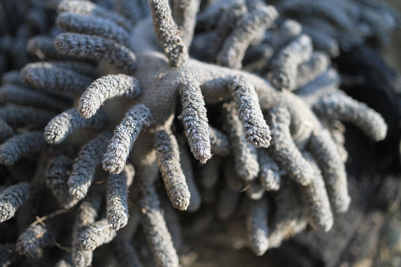 吸水拖把如何换头