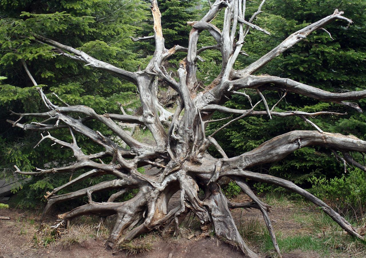 4. 线路对接技巧