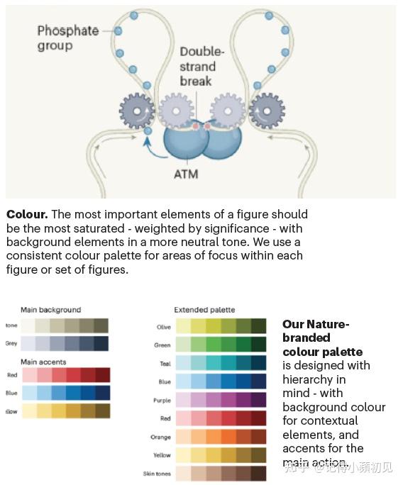 Nature官方绘图指南 - 知乎