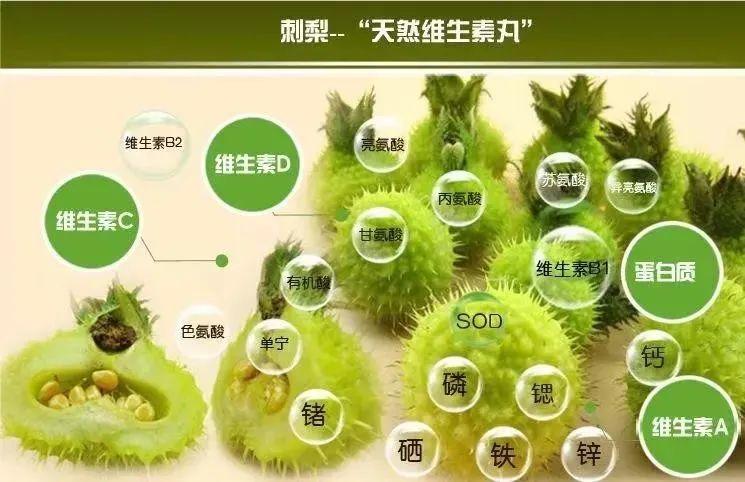 2023,贵州刺梨如何乘风破浪 - 知乎