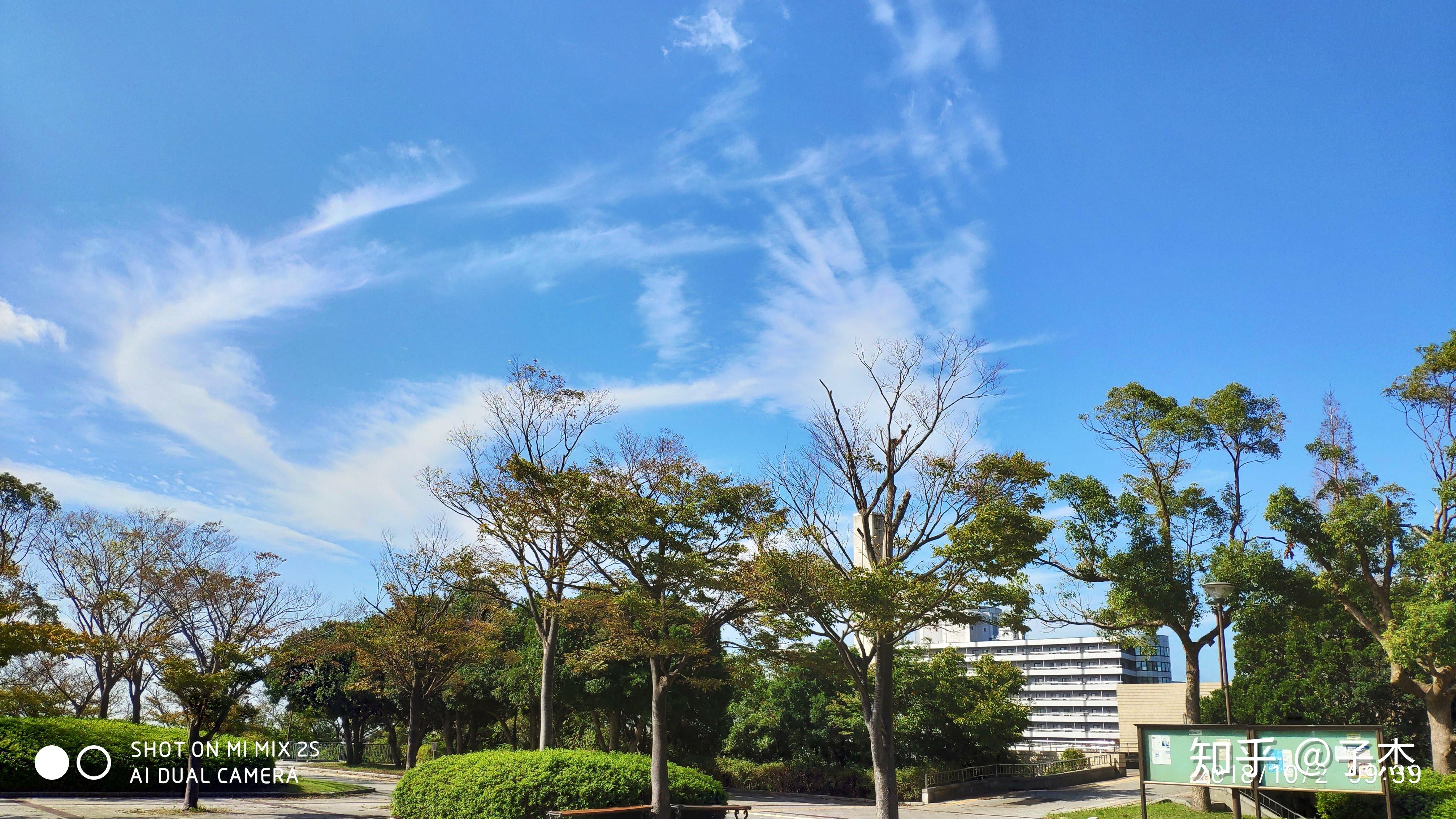 就读于日本的和歌山大学是怎样的体验