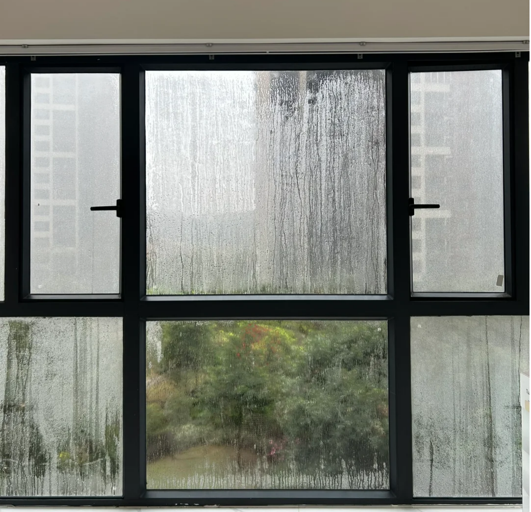 梅雨季最怕的不是湿,是"霉"——夏普D20的除霉方案