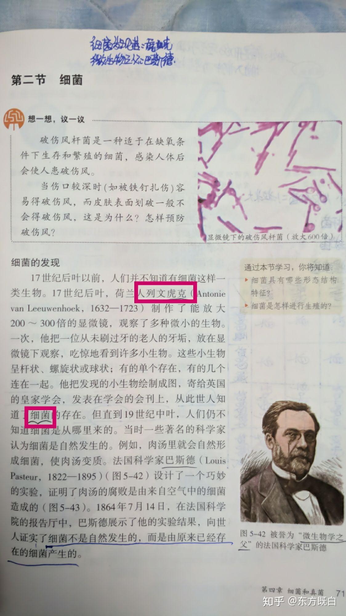 罗伯特胡克和列文虎克是谁先发明显微镜和命名细胞的