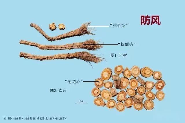 223种中药的鉴别图谱（彩图注释） - 知乎