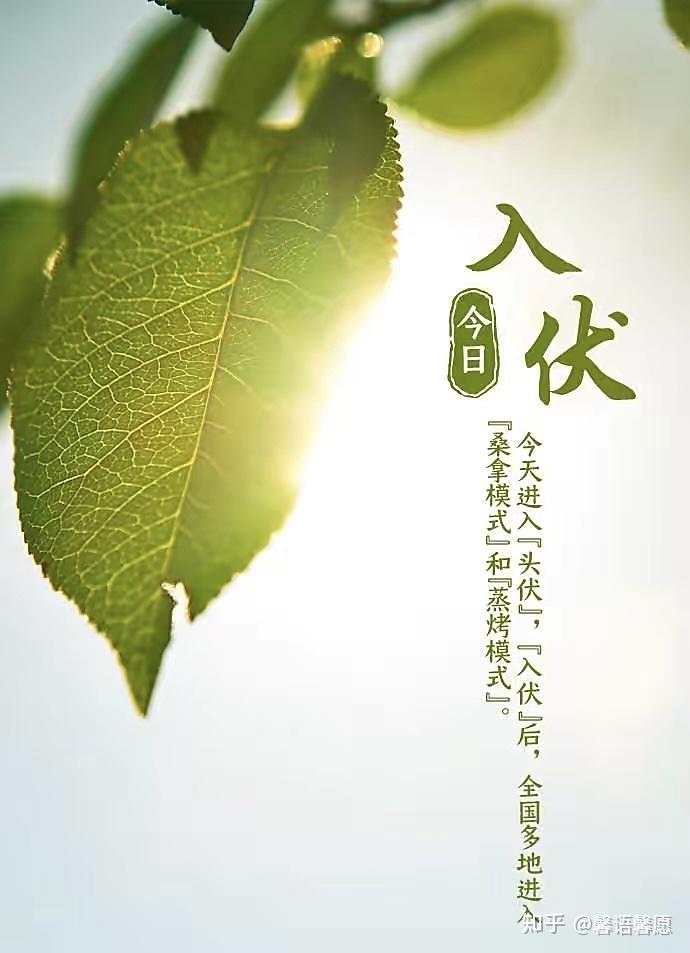 三伏之入伏 - 知乎