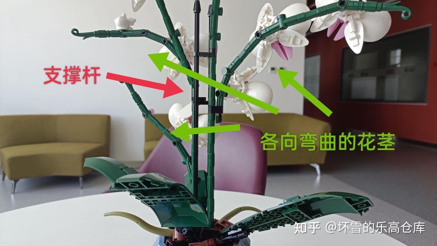 植物系列最佳,不输爆款花束!乐高10311兰花测评 - 知乎