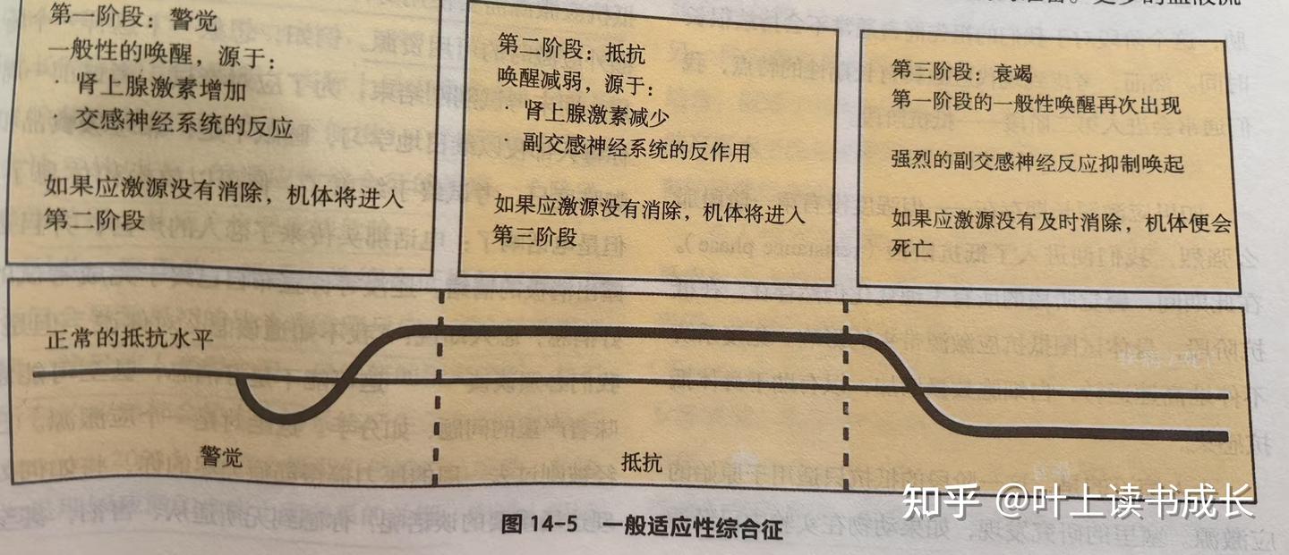 人的应激反应是怎么回事? - 知乎