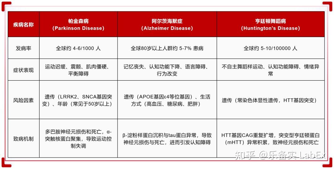 神经退行性疾病:大脑的