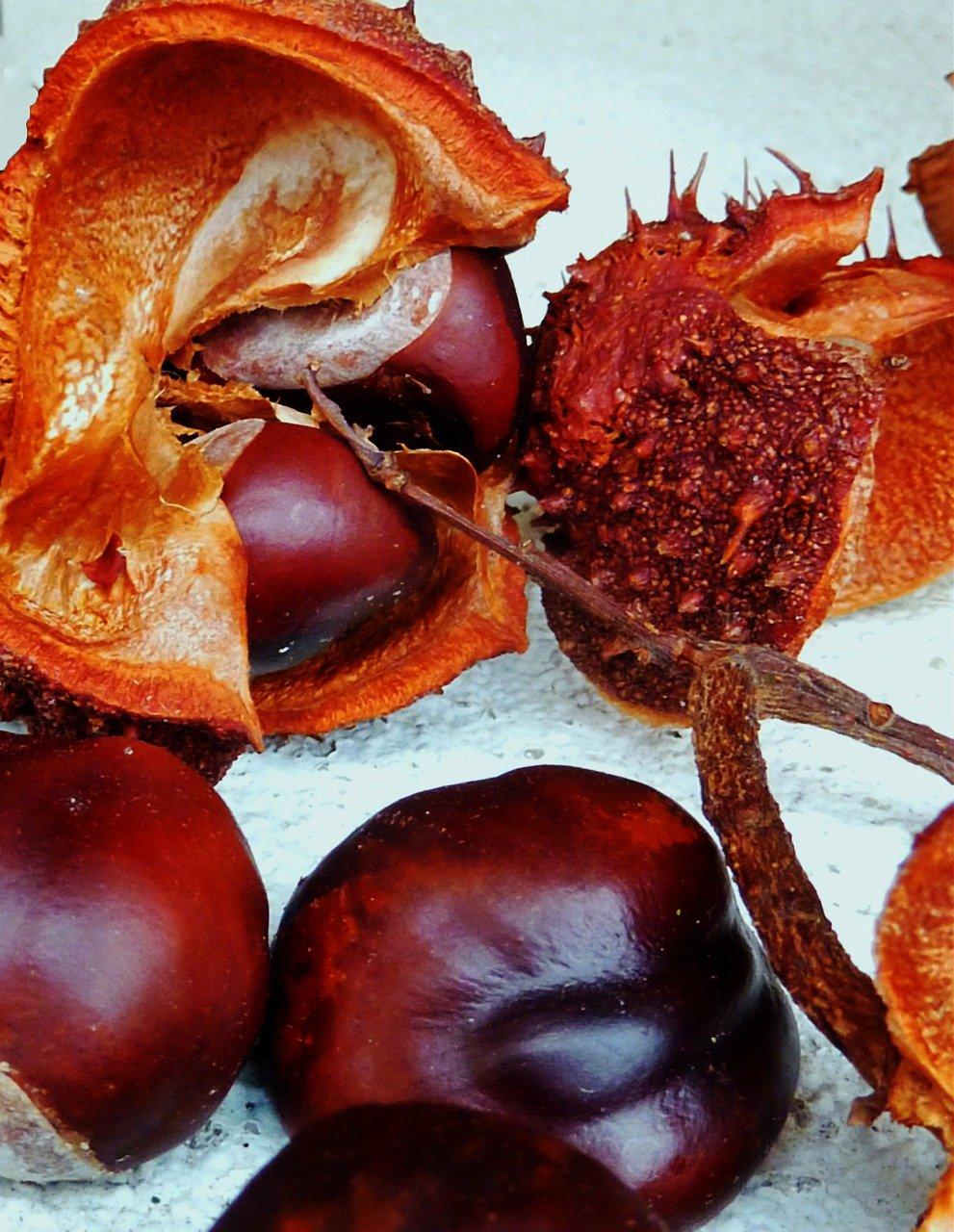 4. 藕尖养护要点