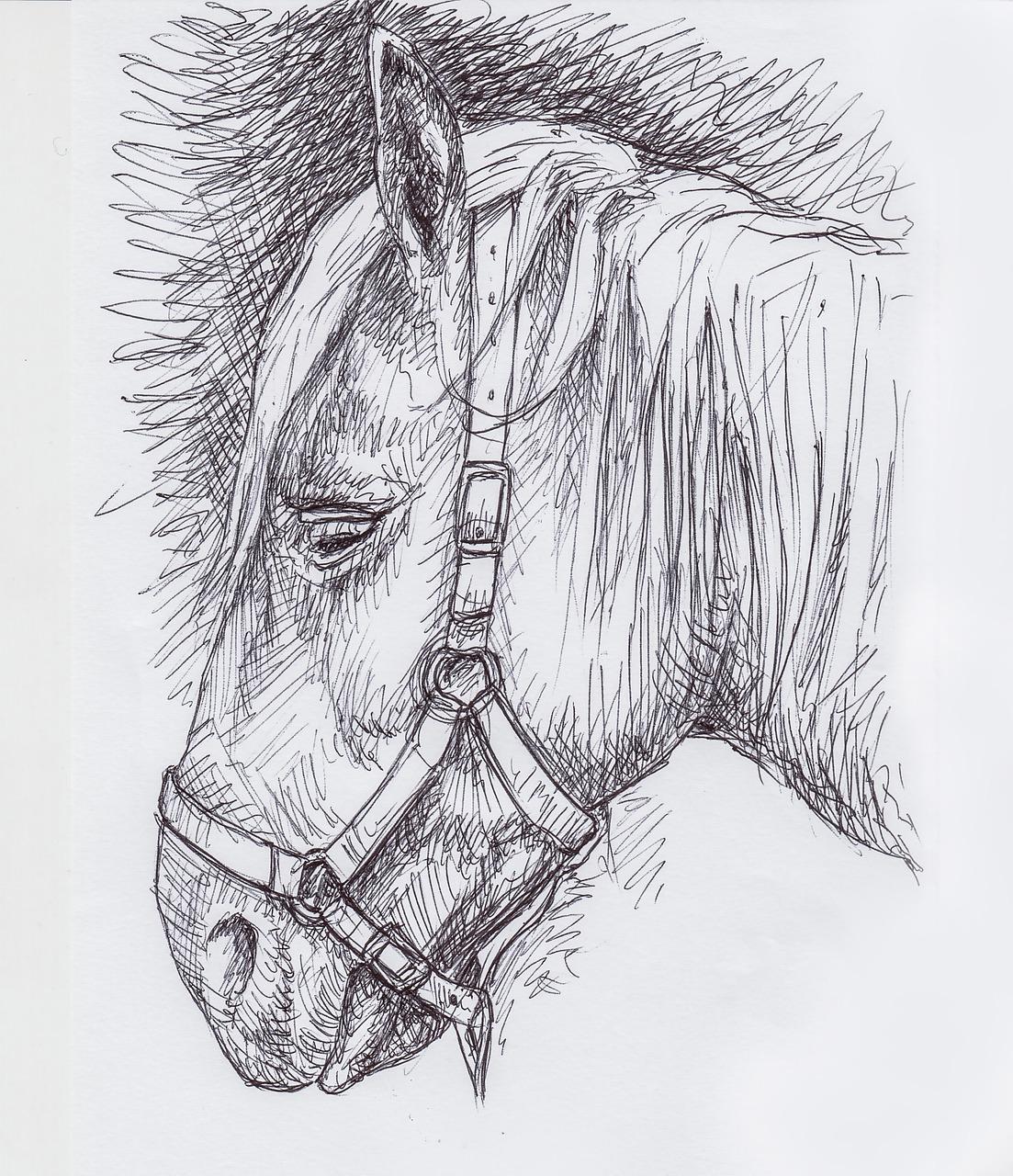 3. 马画尺寸选择