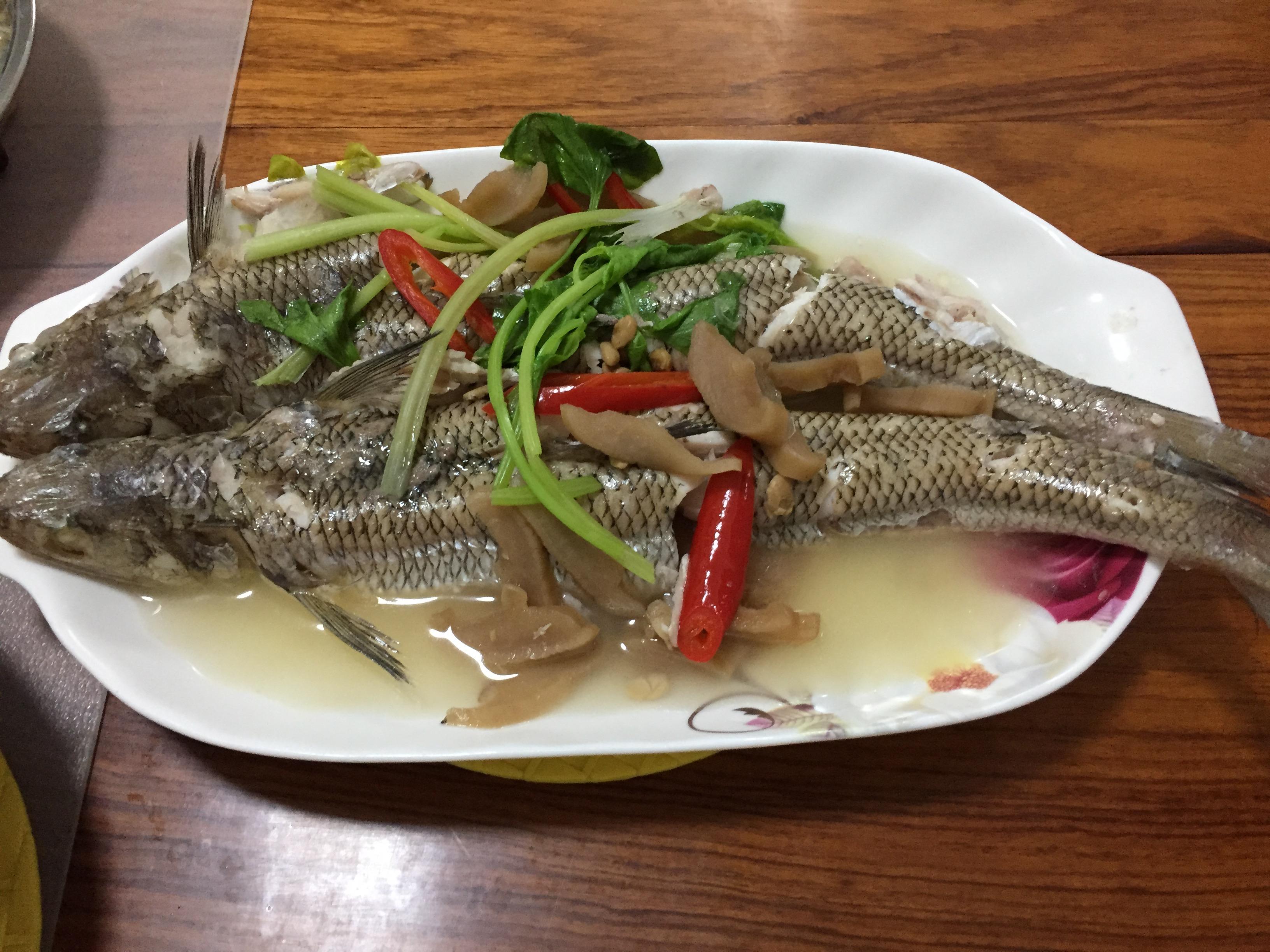 鲻鱼介绍 v2-c11822e2935ba5b29ba0bceb416b5ec2_r.jpg?source=172ae18b