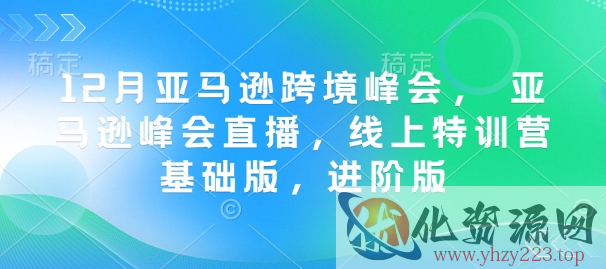 12月亚马逊跨境峰会， 亚马逊峰会直播，线上特训营基础版，进阶版