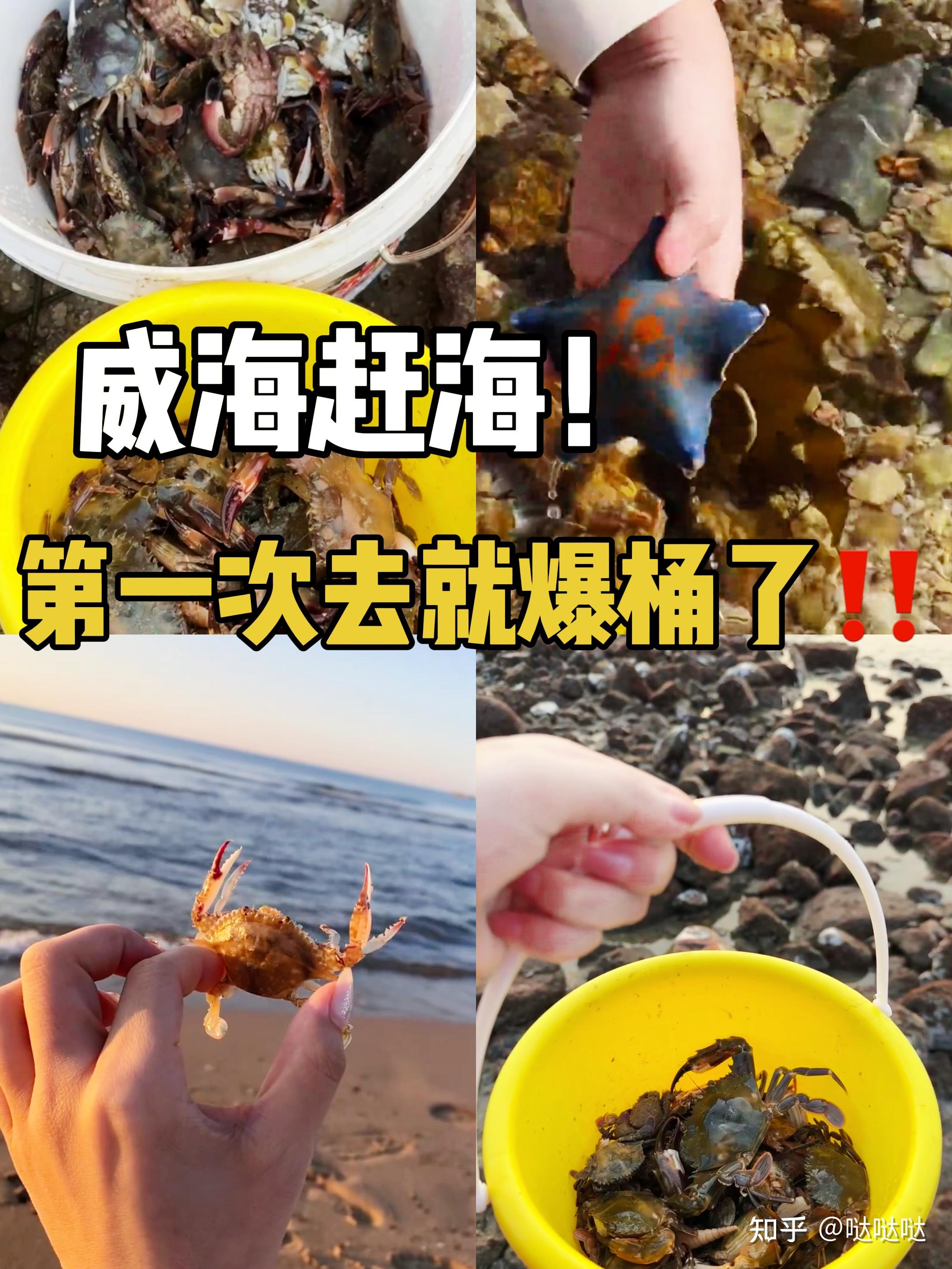 封海了为什么还有海鲜
