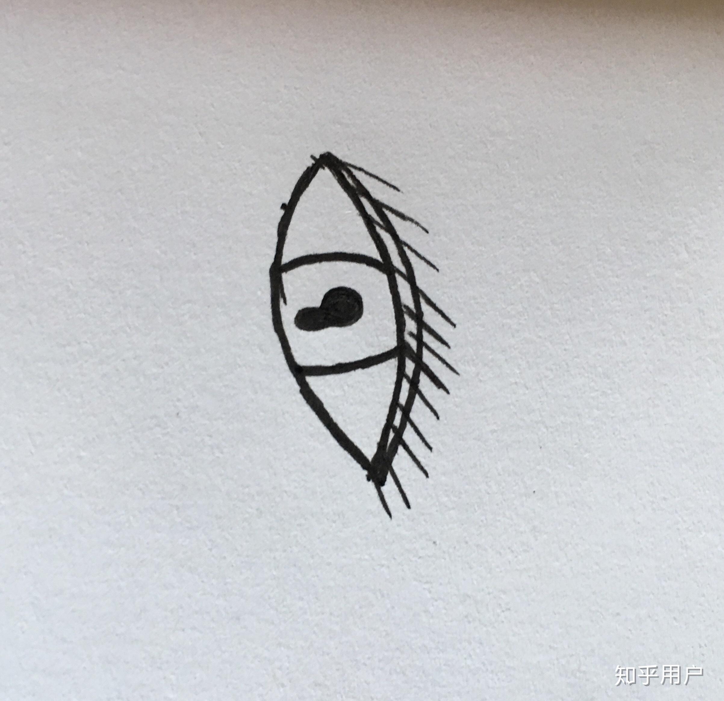 双瞳仁是真的吗? - 知乎
