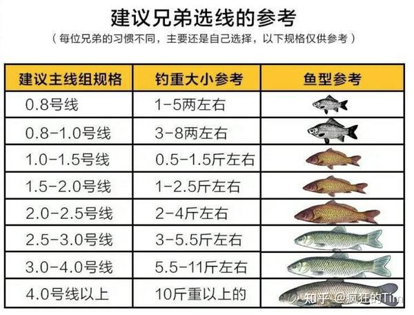 桥钓竿的线组搭配图片