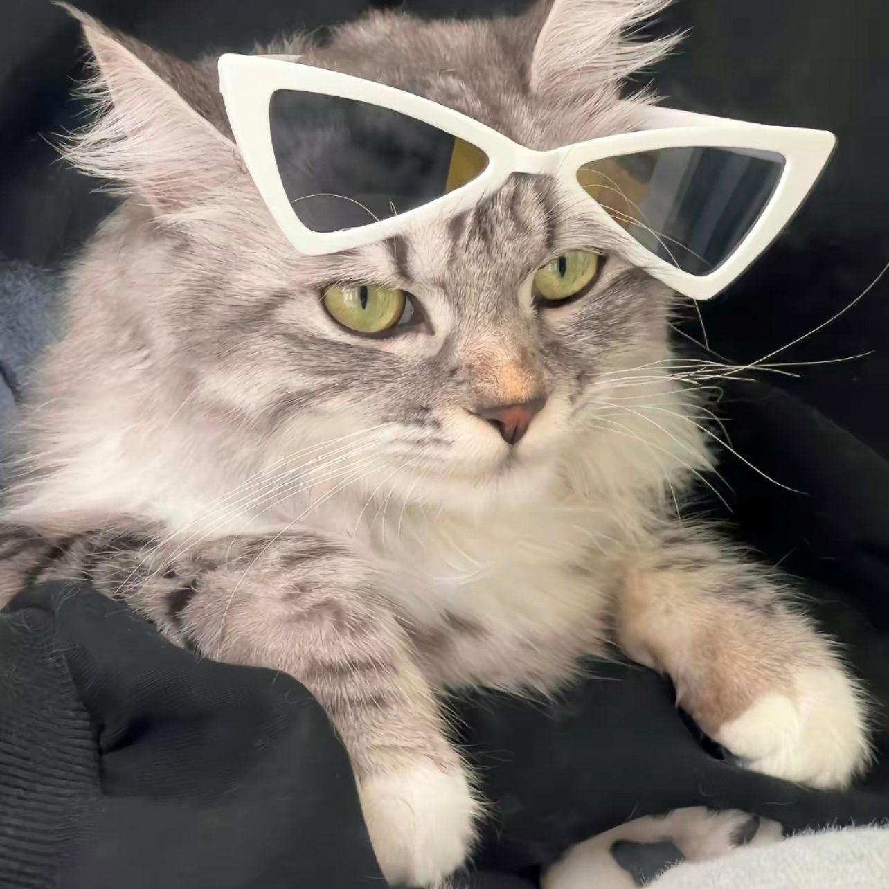 有没有好看的微信头像求图求图