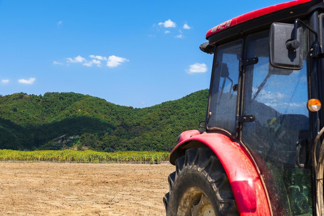 3. 金浦绿化率高