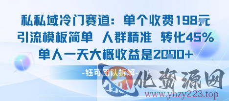 私域冷门赛道单个收费198米引流模板简单人群精准 45%的转化率单人一天大概收益多张