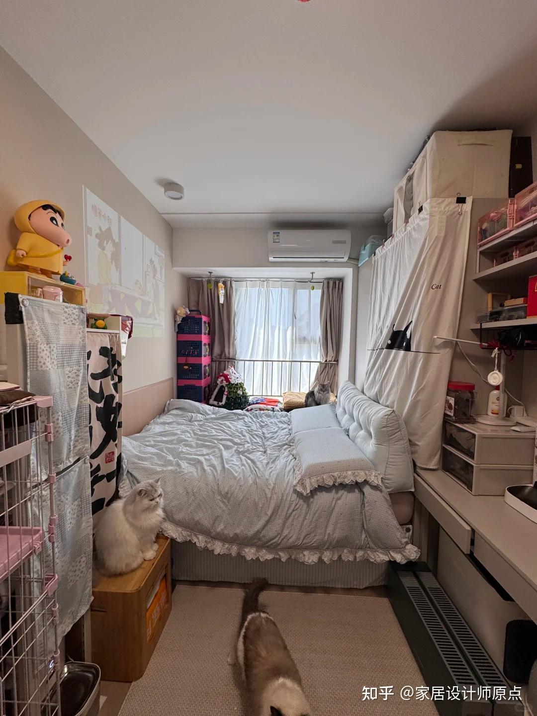 香港一女姑娘的家火了，布置得满满当当，还能养4只小猫，好壮观 - 知乎