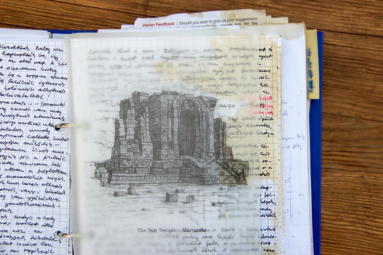 社会实践:志愿者服务,体验社会大课堂