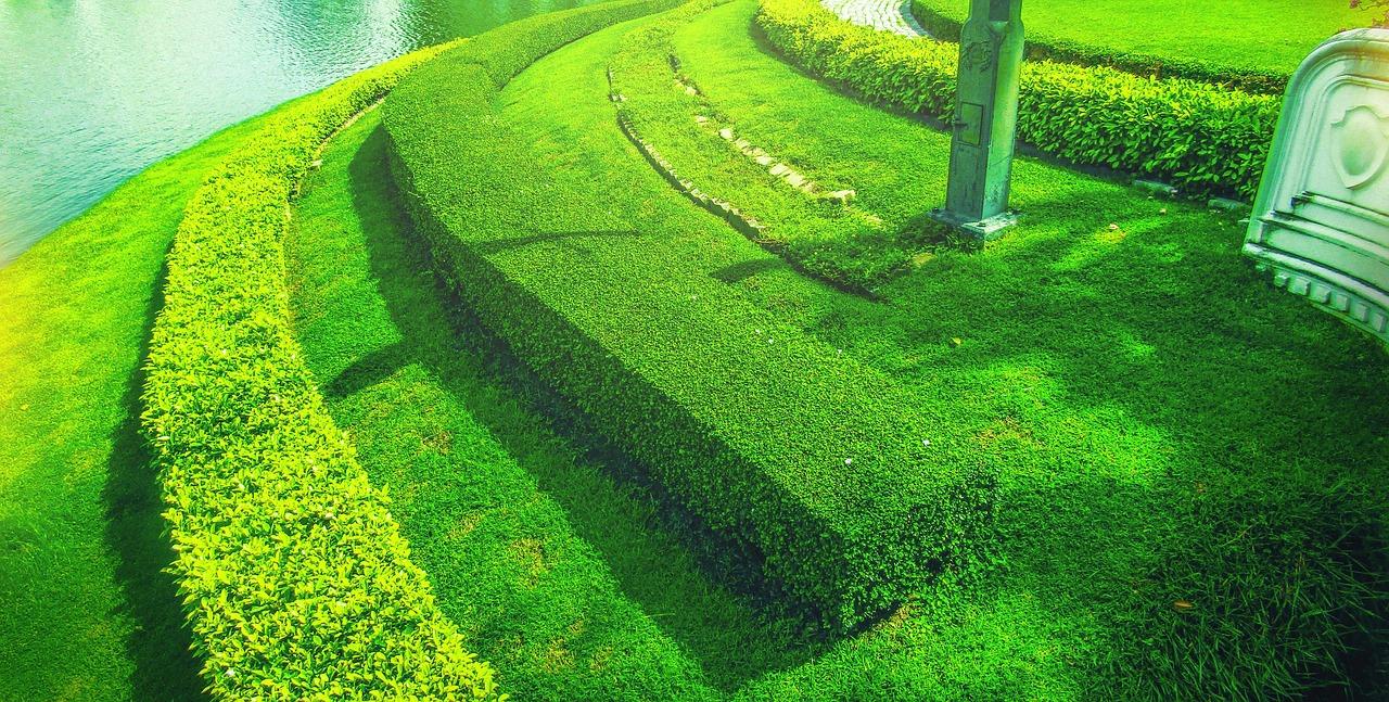 4. 自然氧吧社区