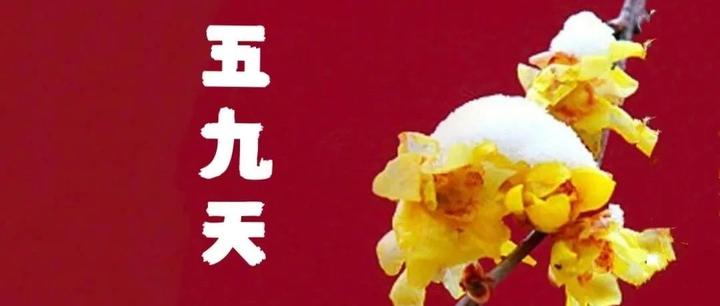 明天五九，再忙也别忘了“吃3样，忌3事”平安健康迎新春，牢记老传统 - 知乎