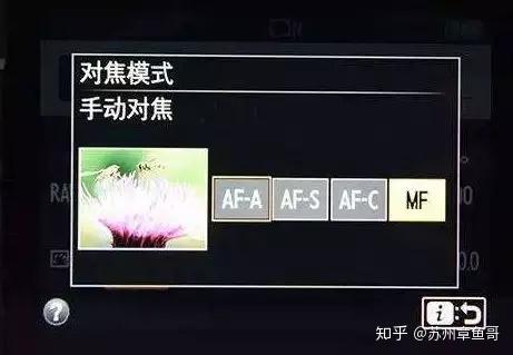 什么是相机对焦模式? - 知乎