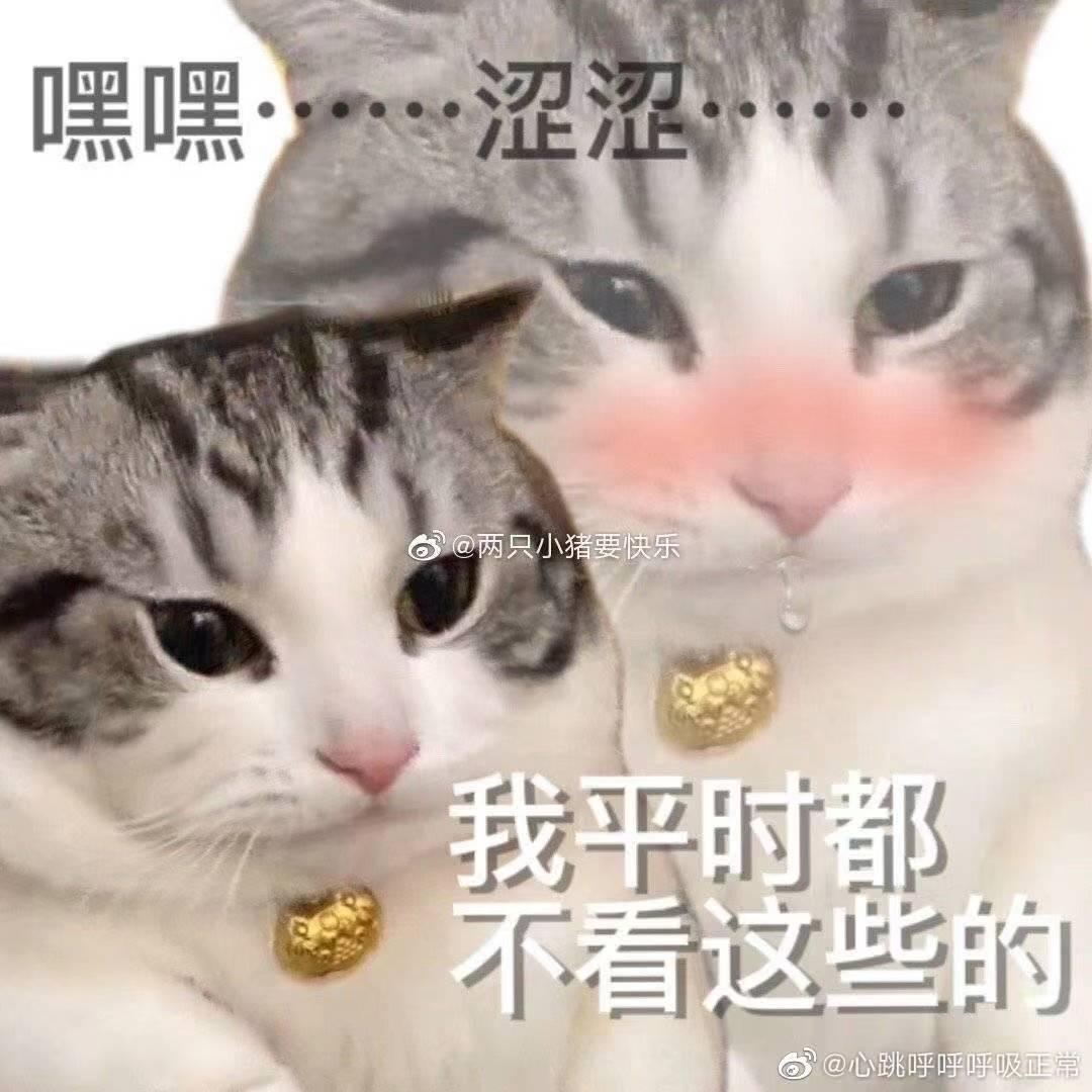 有没有前后反差的幸灾乐祸的表情包