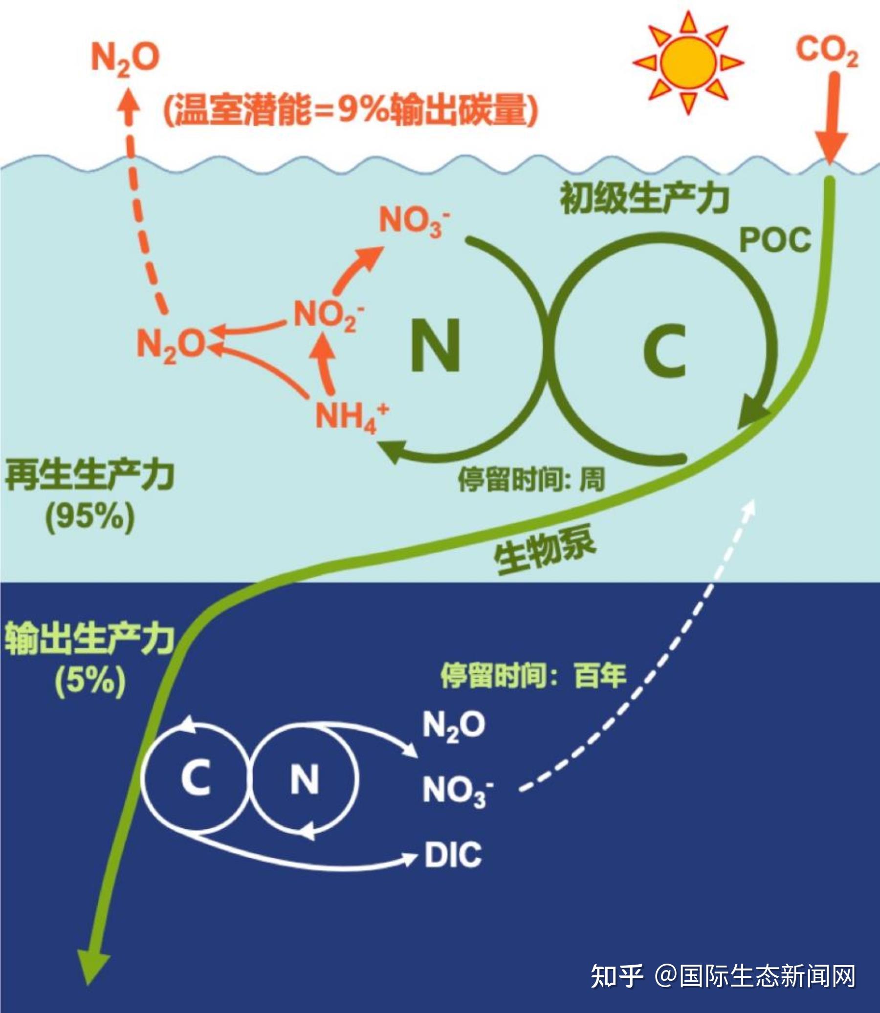 厦门大学高树基团队在Nature Geoscience发表成果揭示海洋生物泵调控的碳、氮复合气候效应 - 知乎