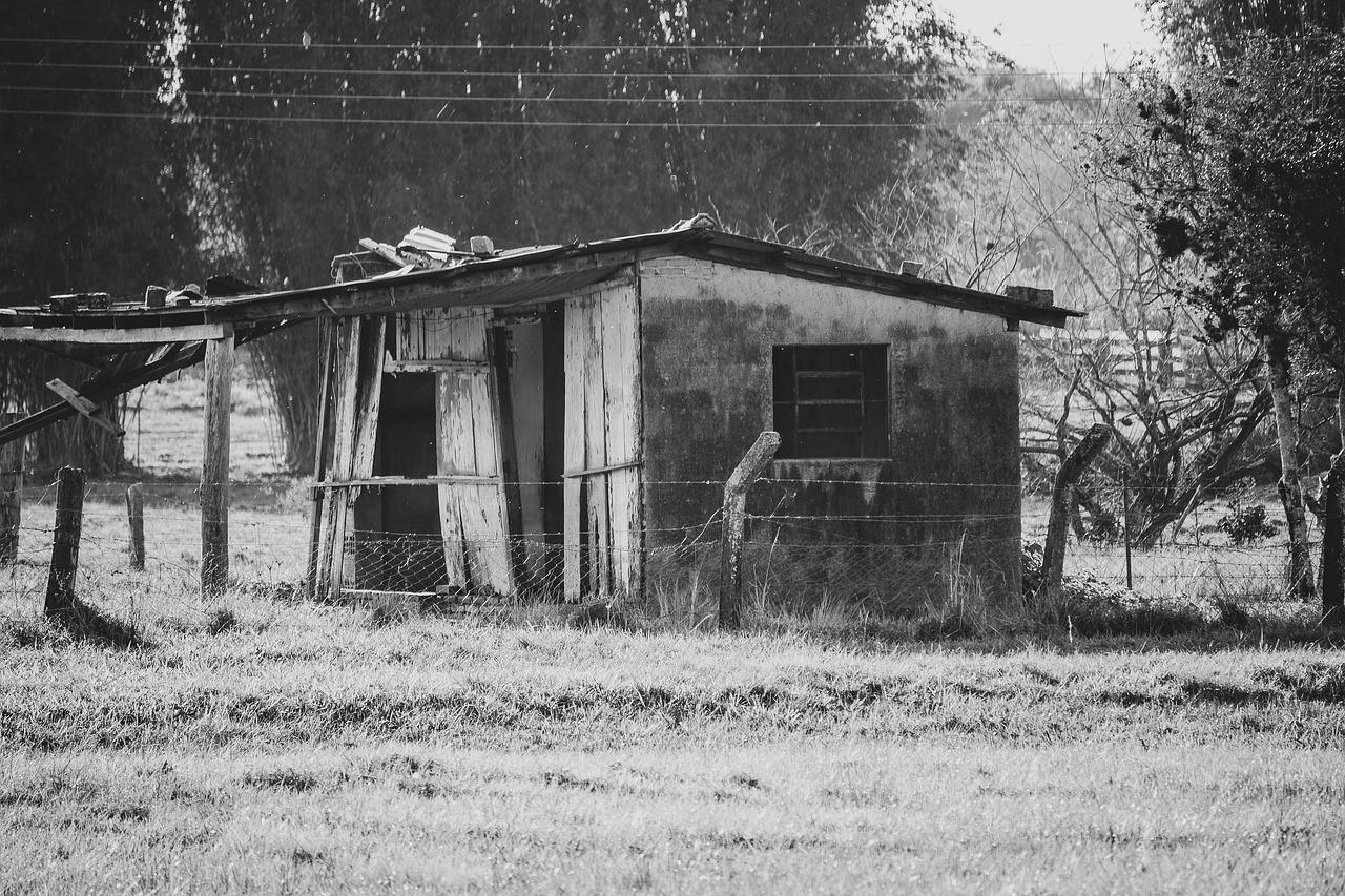 服务质量提升与优化