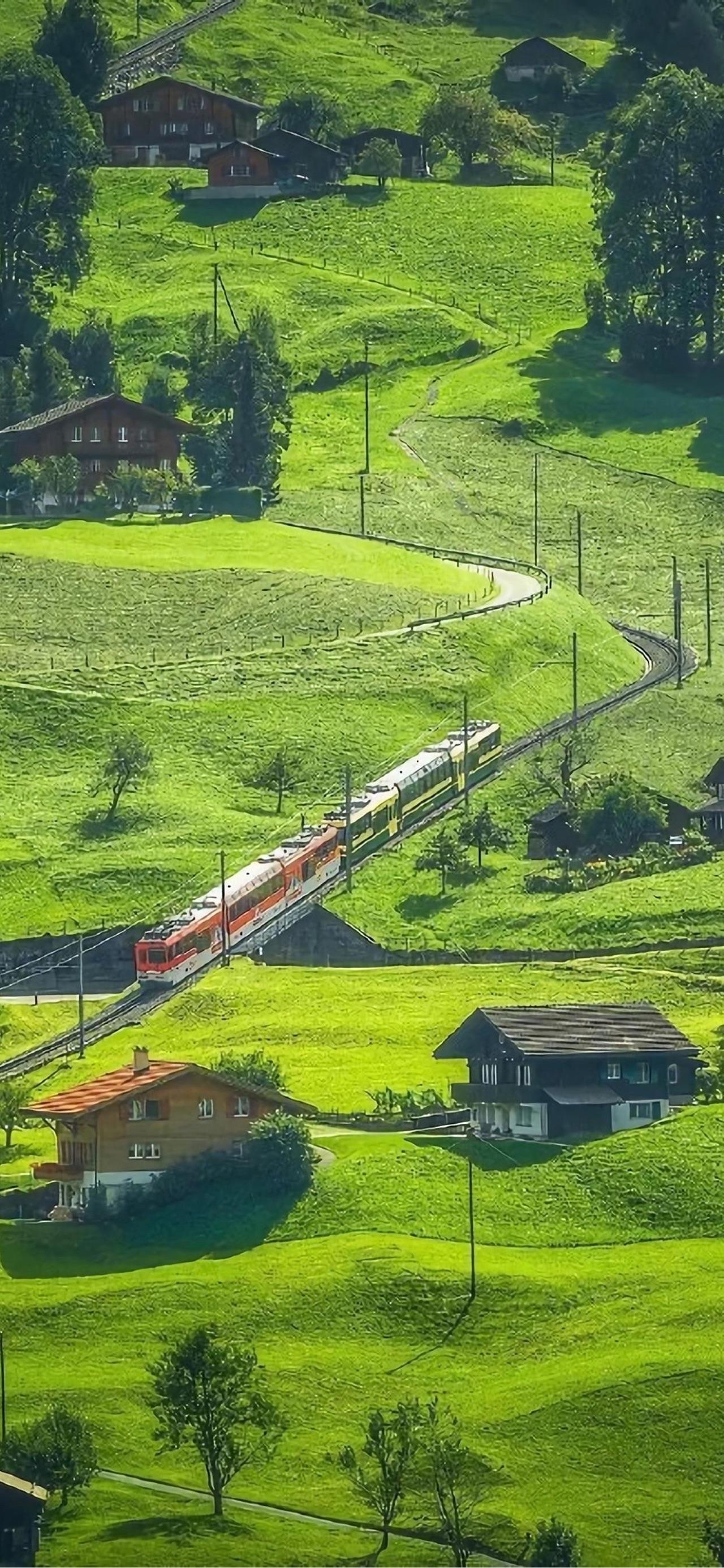 有没有绿色系的iphone全面屏壁纸啊大佬们? - 知乎