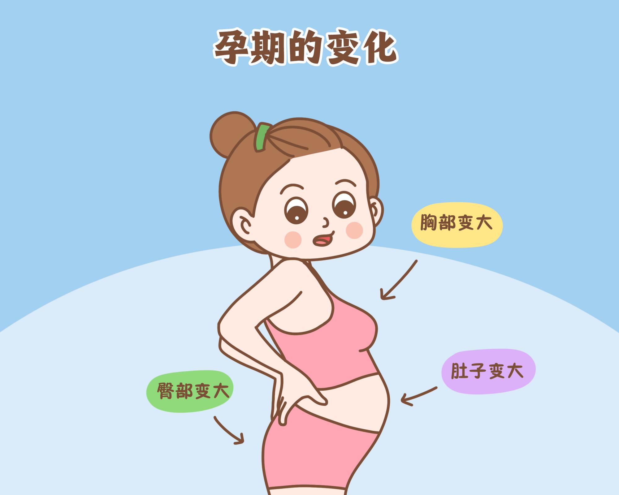 女人怀孕后乳房变化图片
