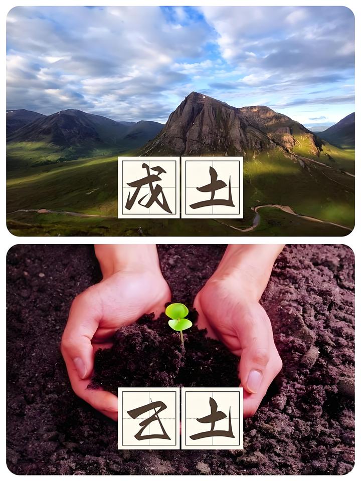 第三课:戊己土 - 知乎