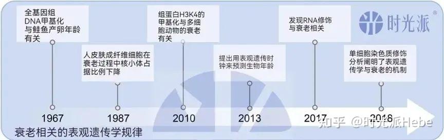 3秒采样预知衰老?甲基化生理时钟首次亲民化,你离“真实年龄”真相,就差一支棉签! - 知乎