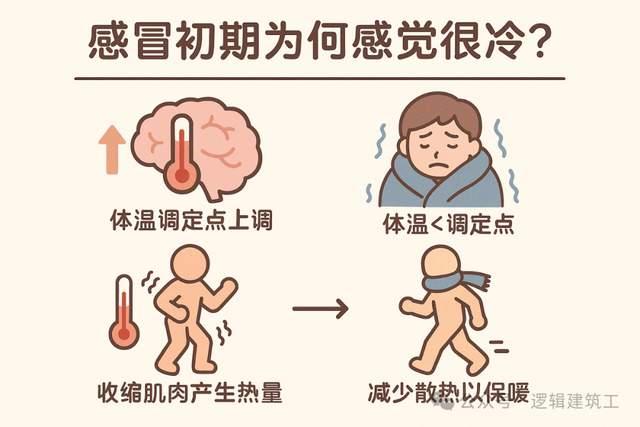 感冒初期为何感觉很冷? - 知乎