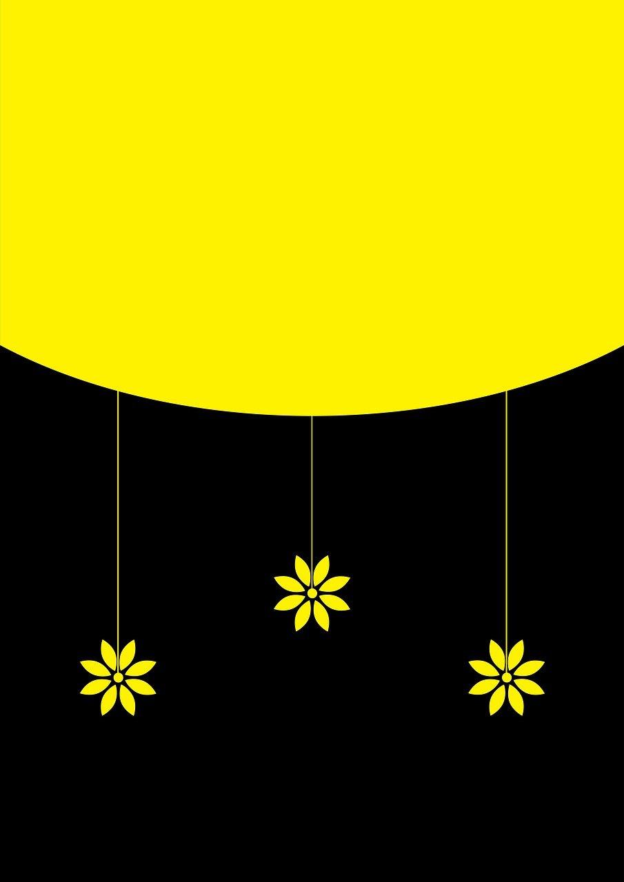 台湾草皮多少钱一平方