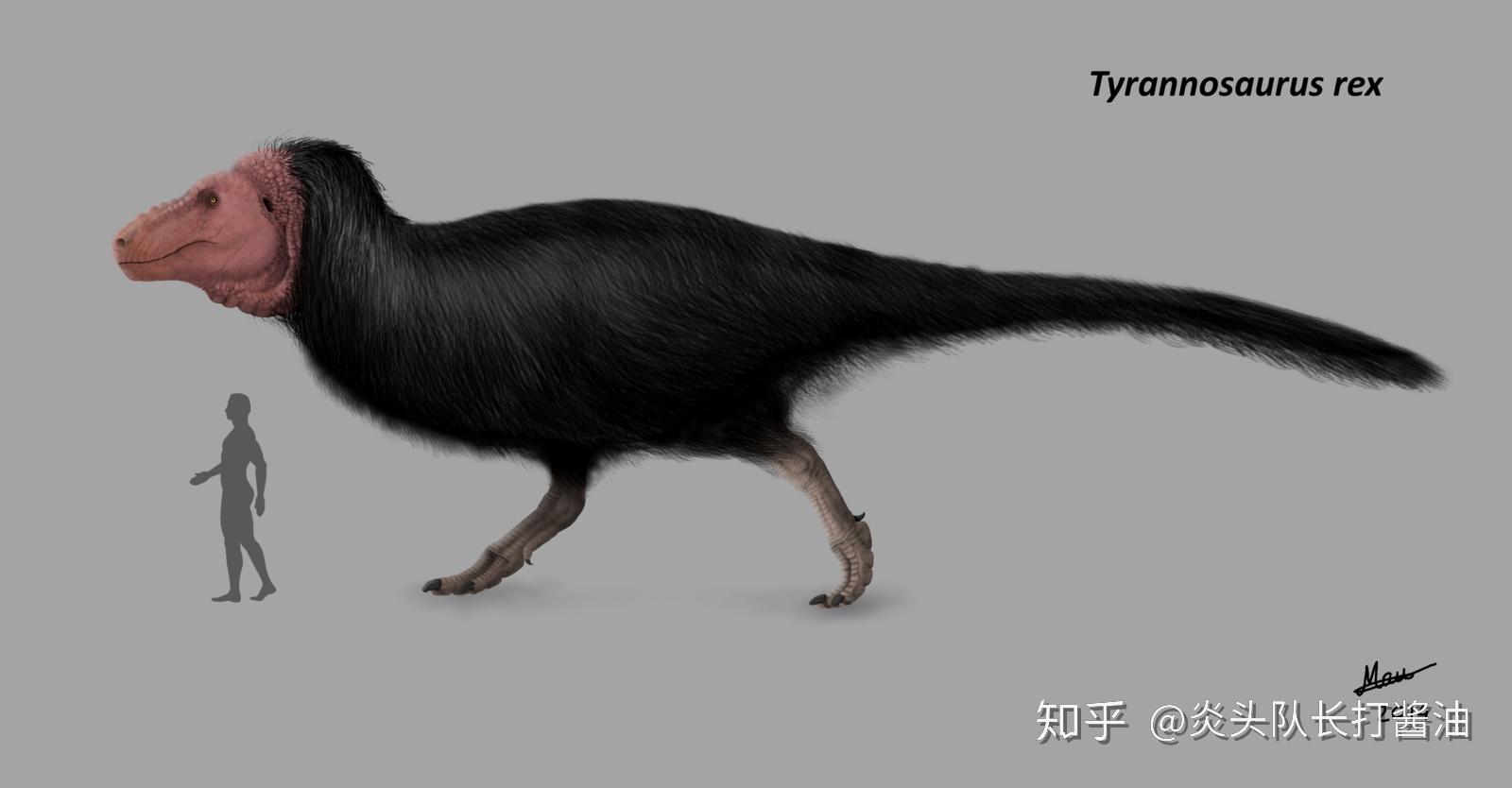 有哪些经典的长羽毛的恐龙的复原图