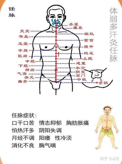 中医针灸大成笔记4-任脉 - 知乎