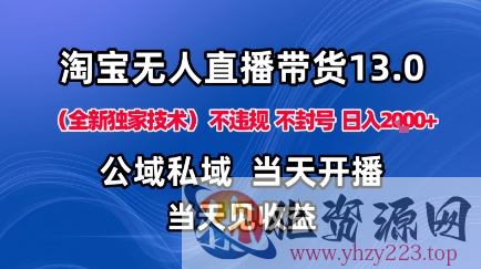 淘宝无人直播13.0，公域私域技术，不封号，不违规布局下半年旺季赛道，日入1K+（独家技术）【揭秘】
