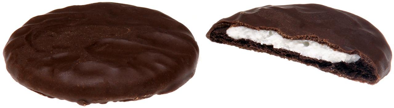 4. 地沟油处理设备