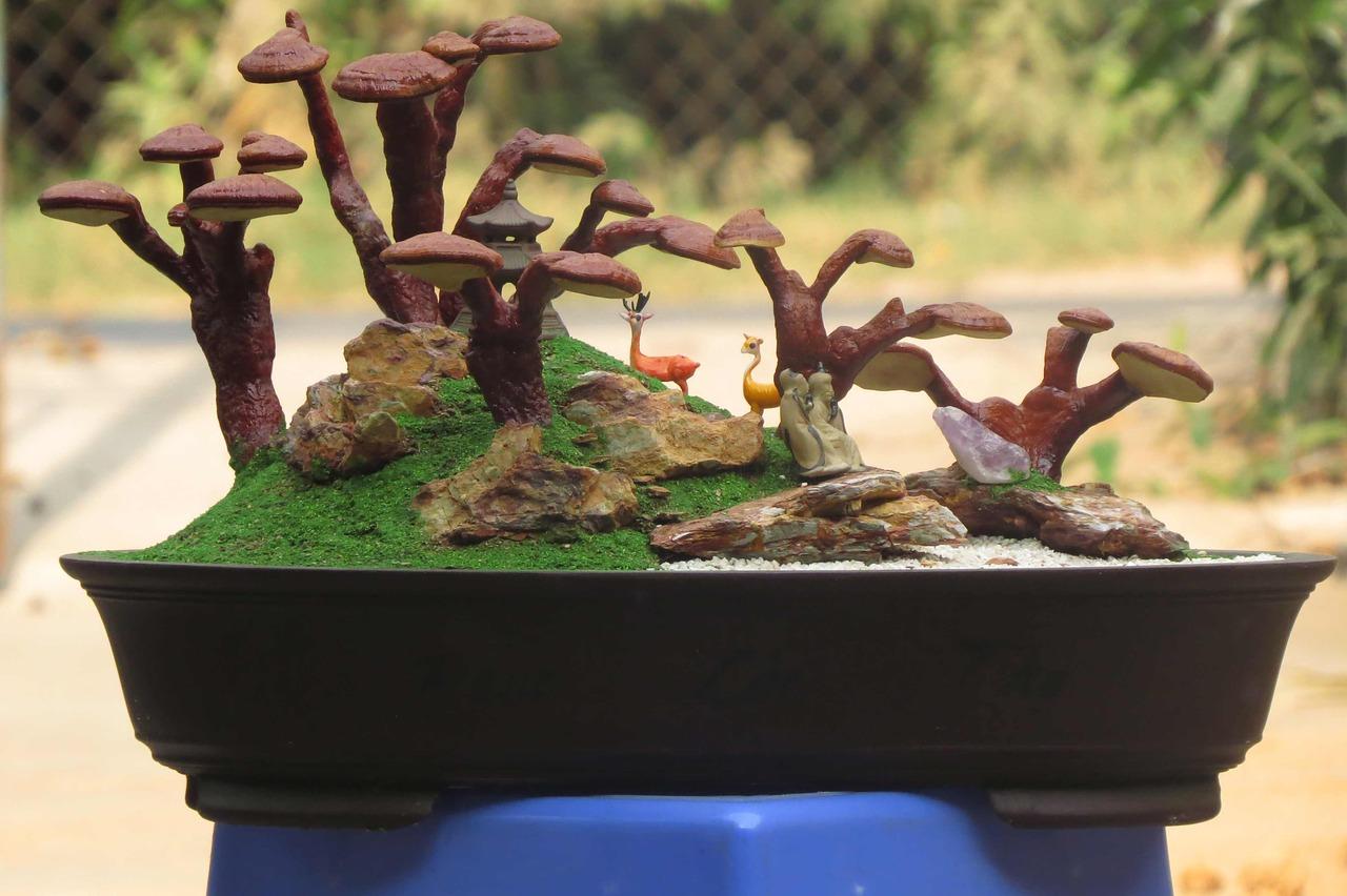 4. 盆景养护要点