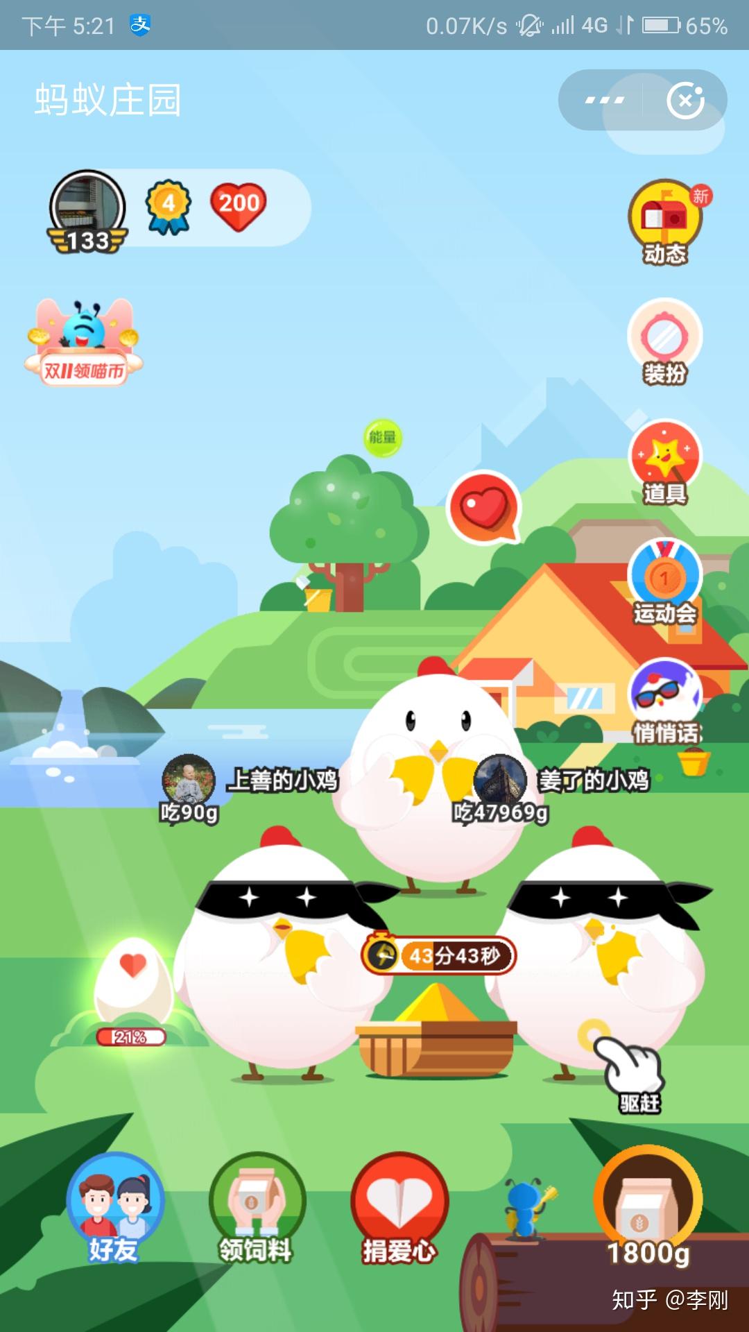 蚂蚁庄园的小鸡可以在别人家吃多少饲料