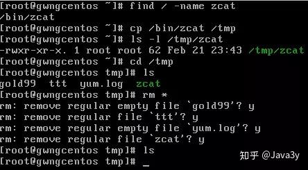 看完这篇Linux基本的操作就会了 - 知乎