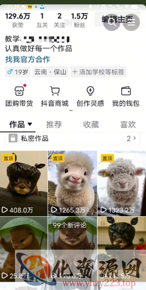 抖音65W博主AI萌宠课程，新赛道流量大，原创+二创，全套课程+提示词