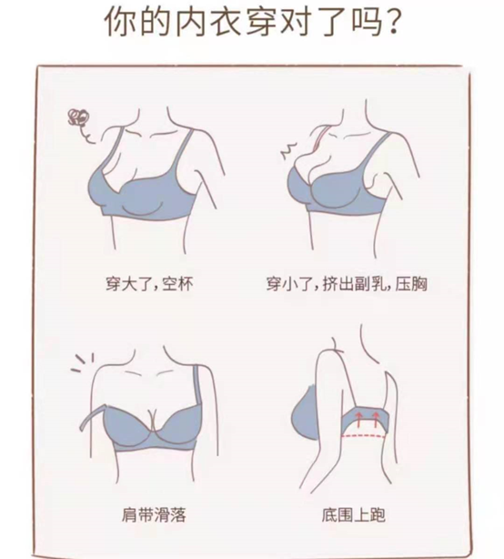 如何快速分辨女性罩杯? - 知乎