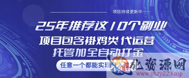 25年推荐这10个副业项目包含褂鸡类、代运营托管类、全自动打金类【揭秘】