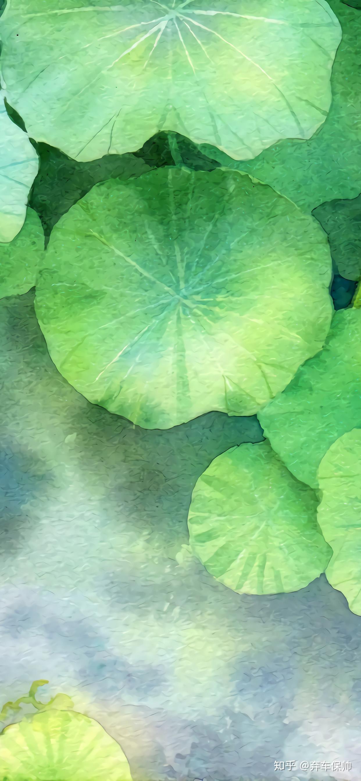 手机屏保下载(手机屏保下载 清澈的爱只为中国)