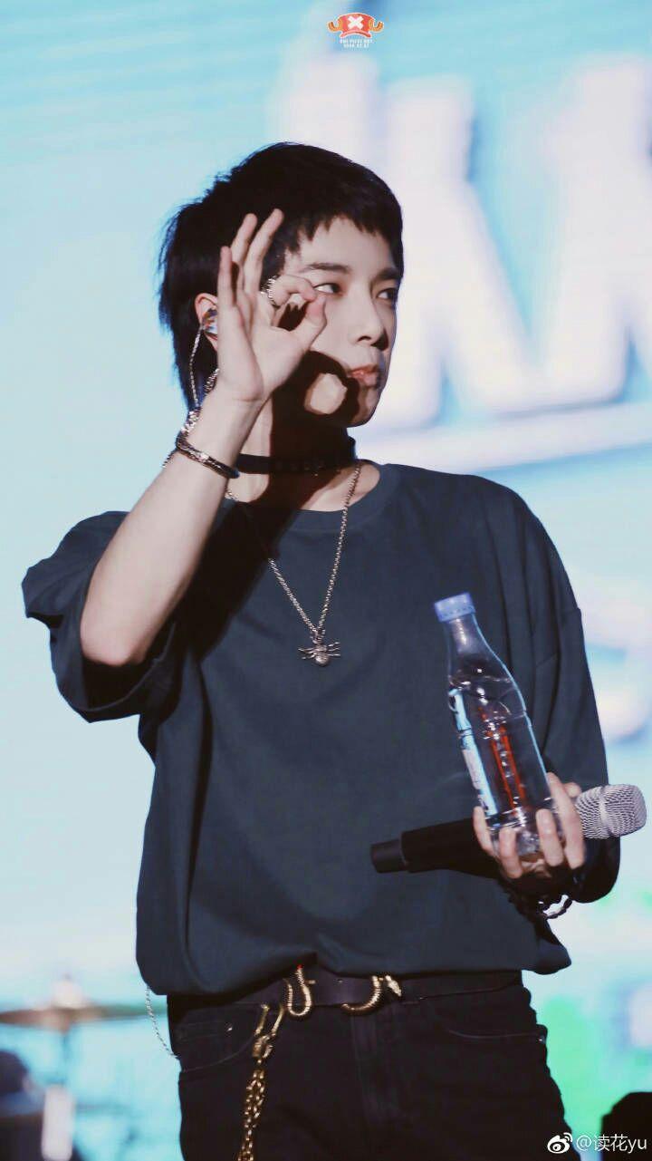 如何评价华晨宇在《花儿与少年》第一季中的表现?