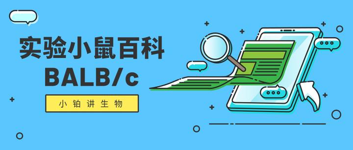 鼠库全书丨BALB/c - 知乎